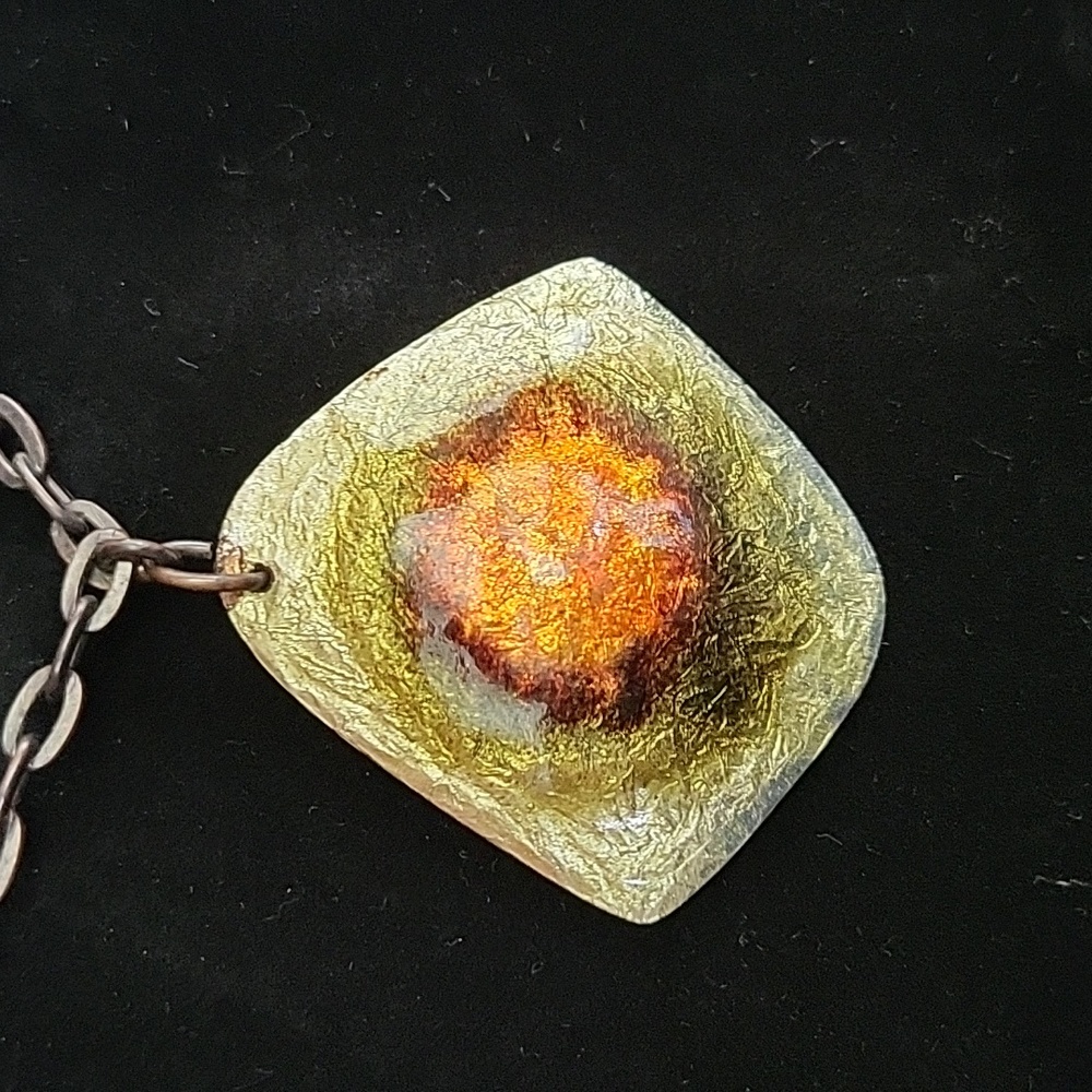 Shell looking - Picture 2 of 5